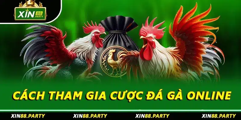 Cách tham gia cược đá gà online